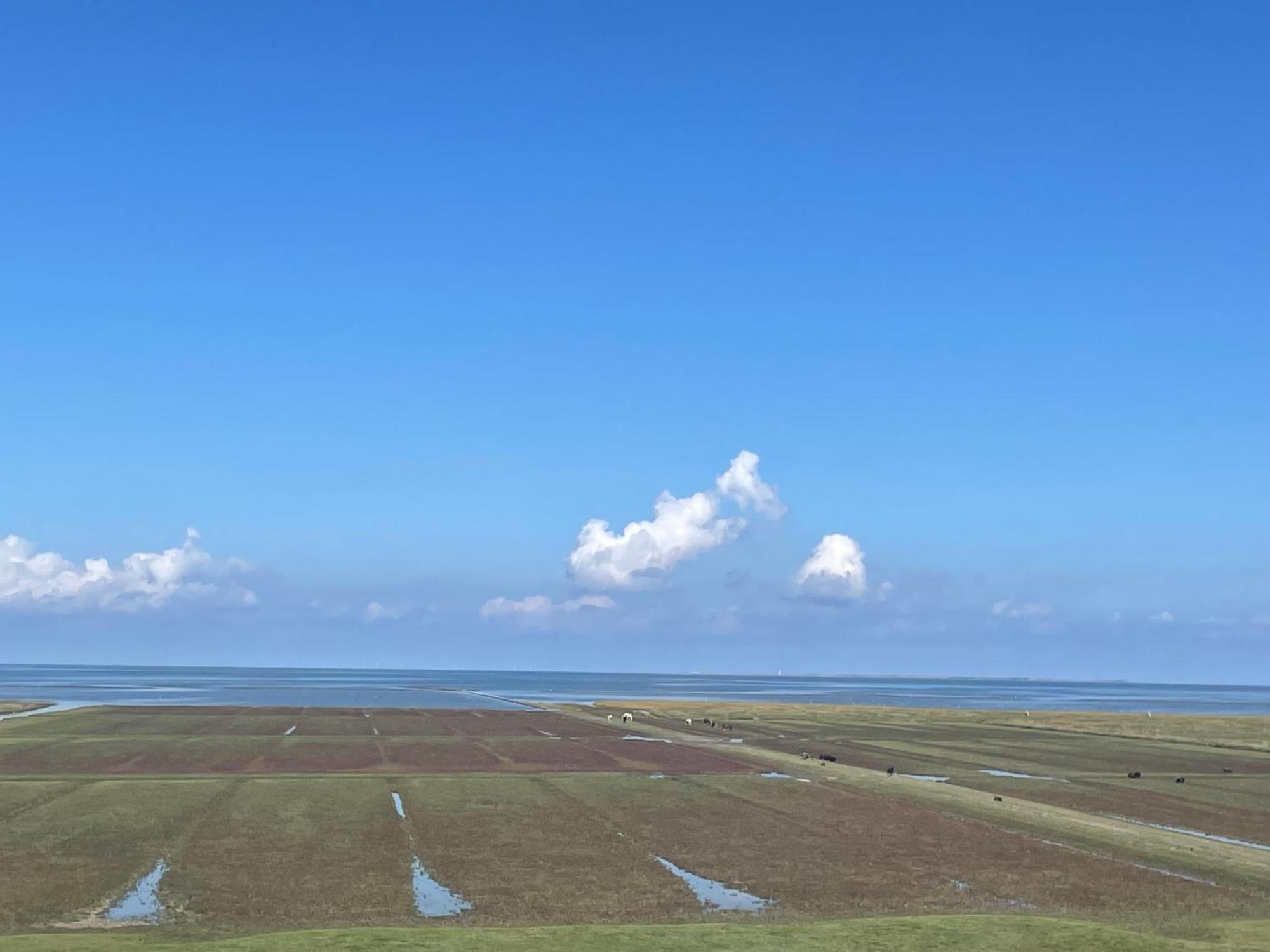 Hotel De Oude Smidse Westernieland Zewnętrze zdjęcie
